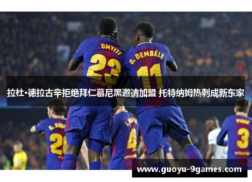 拉杜·德拉古辛拒绝拜仁慕尼黑邀请加盟 托特纳姆热刺成新东家