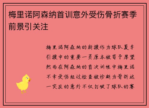 梅里诺阿森纳首训意外受伤骨折赛季前景引关注